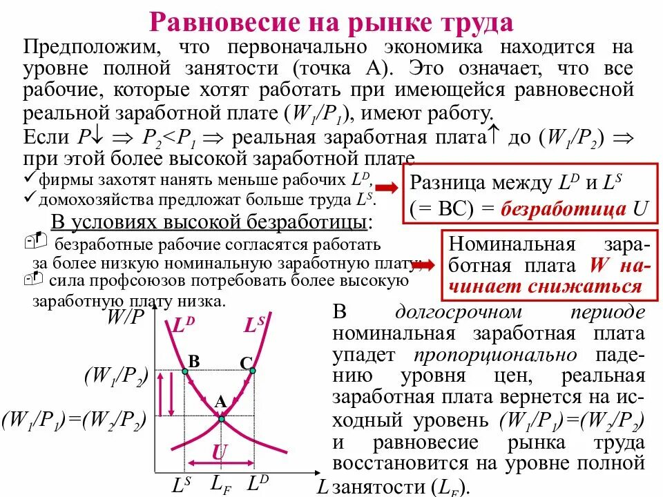 Равновесное соотношение различных сил. Рыночное равновесие на рынке труда. Равновесное состояние рынка труда. Точка равновесия на рынке труда. Механизм равновесия на рынке труда.