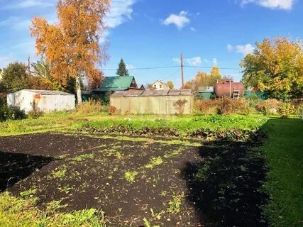 Участок береза 2