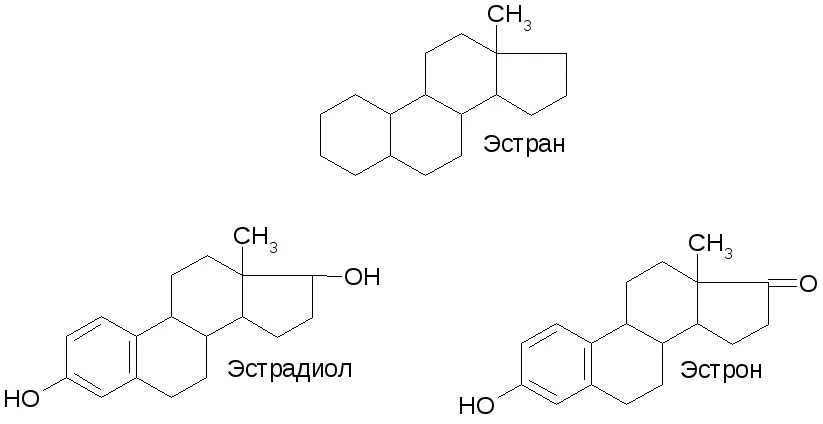 Эстрадиол это эстроген. Эстроген формула химическая. Эстрадиол формула биохимия. Эстрадиол химическая формула. Структура эстриона биохимия.