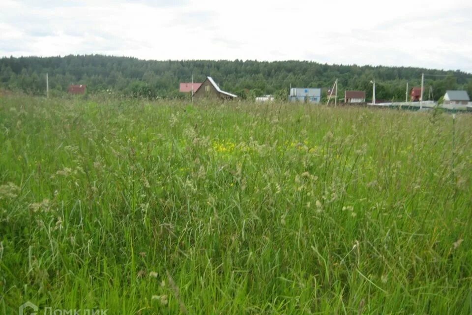 Жители деревни луги