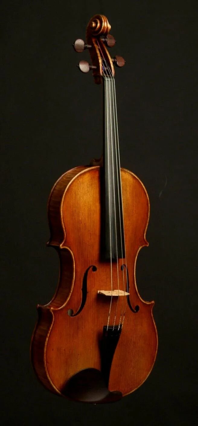 Альт (Виола) Viola. Скрипка. Альт инструмент. Скрипка вертикальная. Цвет скрипки
