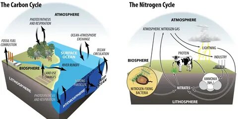 According to environment