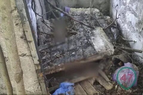 11 мальчика нашли