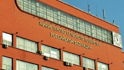 Мини сельское хозяйство