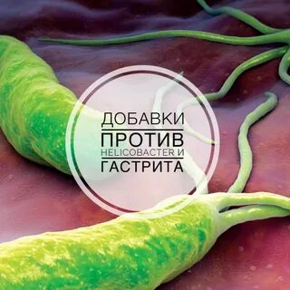 Продукты убивающие хеликобактер пилори