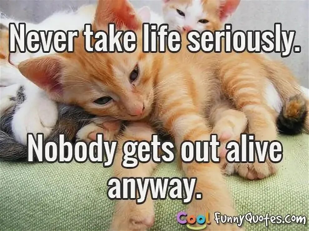 Take Life seriously. Life seriously. Don't take Life seriously. Find dont