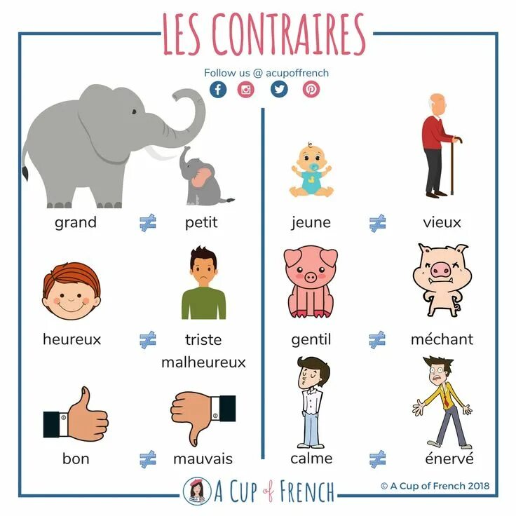 C est une petit