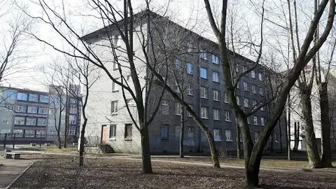 Санкт петербург ул шевченко 27