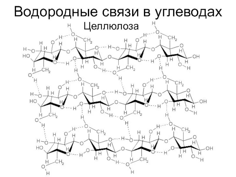 Что представляет собой целлюлоза?. Целлюлоза строение. 1 4 гликозидная связь в целлюлозе. Целлюлоза тип гликозидной связи. Строение целлюлозы формула.
