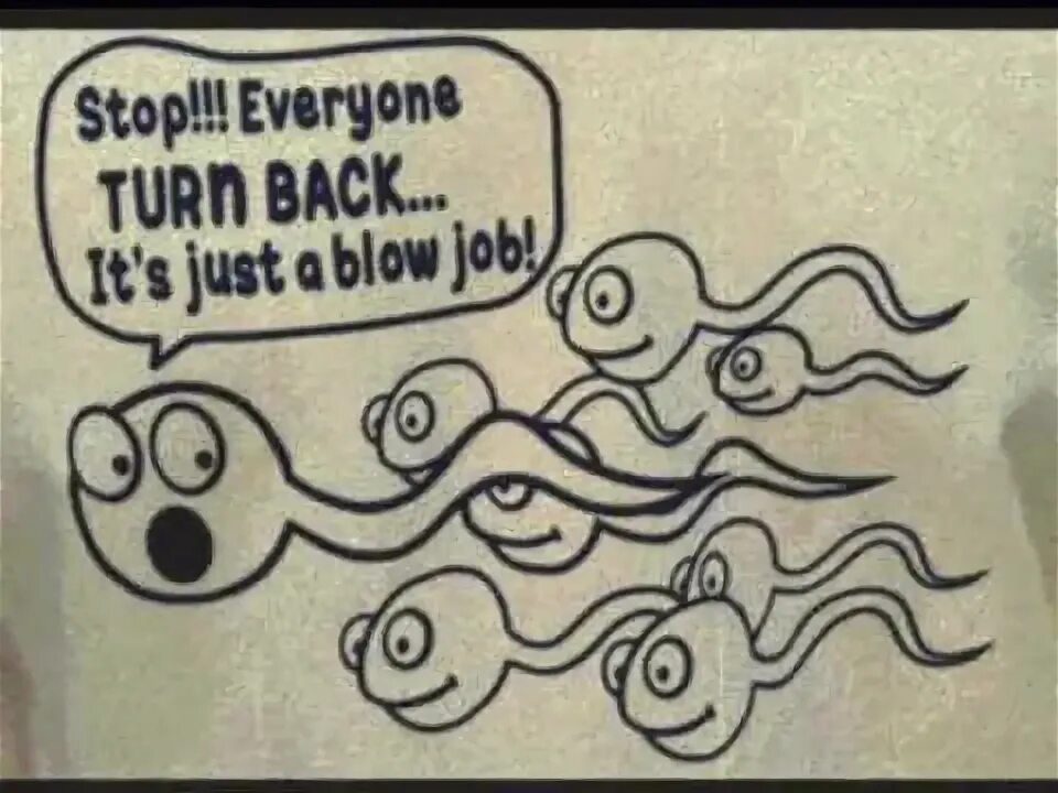 That s just not my problem. Just a job?. its my job мем. just my job!. just the job перевод.