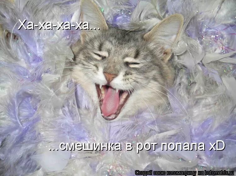 физическая подготовка военнослужащих. командир 242 уц вдв. солдаты в армии. 242 уц вдв казарма. рота попадать.