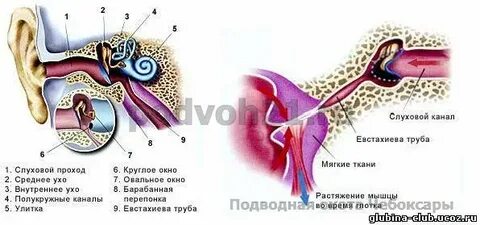 Баротравма уха
