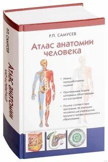 Атлас нормальной анатомии человека самусев липченко