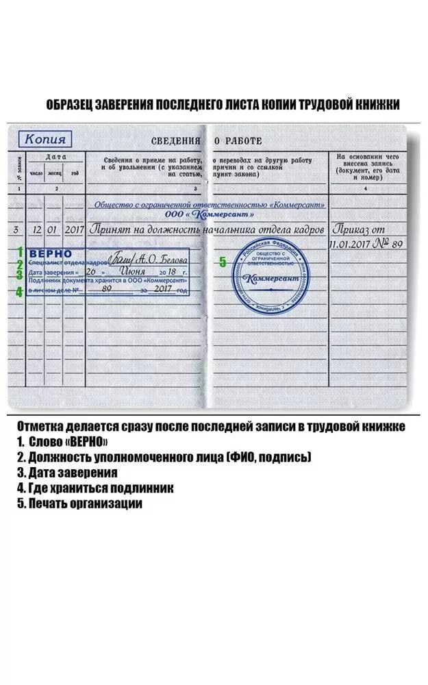 соответствие трудовых книжек годам выпуска. трудовая книжка образца 1974 года. выпуски трудовых книжек. 30-2003 усд. выпуски трудовых книжек.