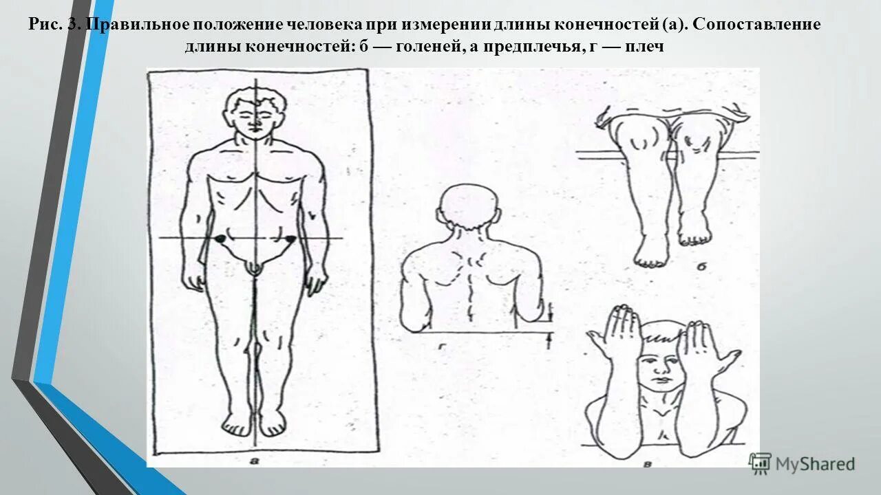 Войти в положение человека