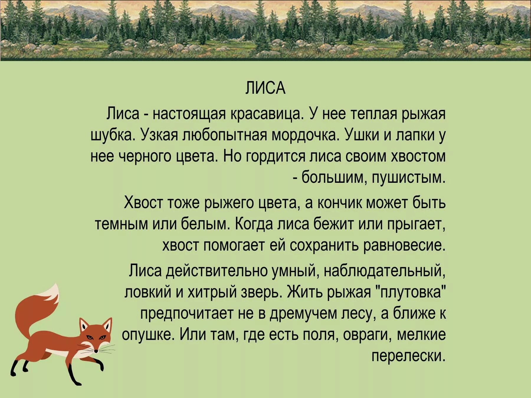 Текст описание о лисе 2 класс. Рассказ про лису. Сочинение описание про лису. Описание про лису.