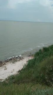 Широчанка ейск