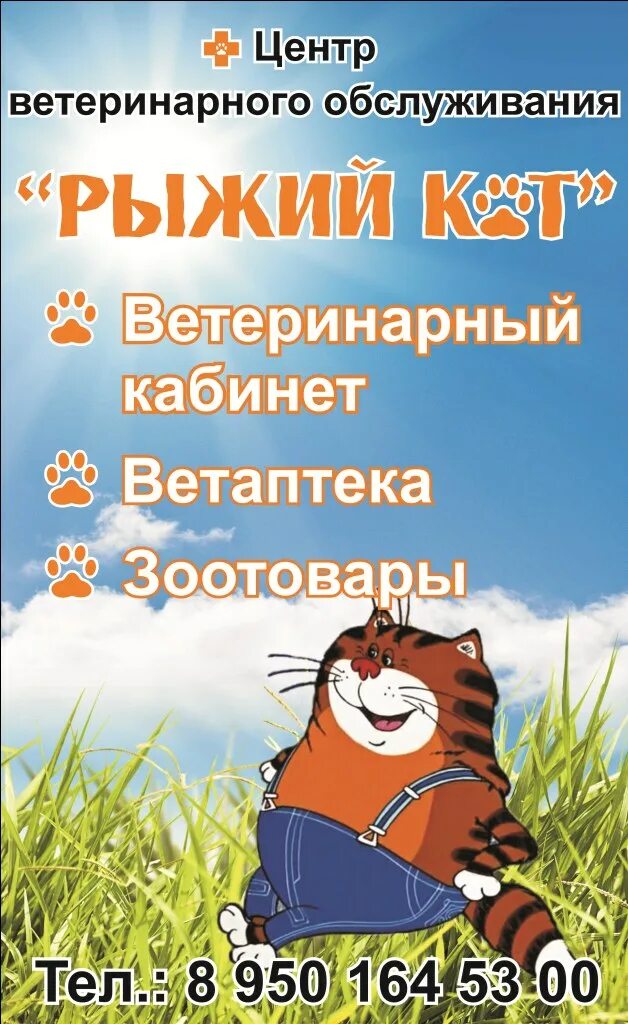 Рыжий кот ува. Ува ветеринарная клиника рыжий кот. ветклиника рыжий кот оренбург. центр развития рыжий кот.