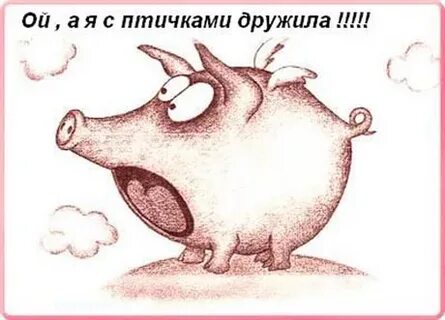 Не было купила порося