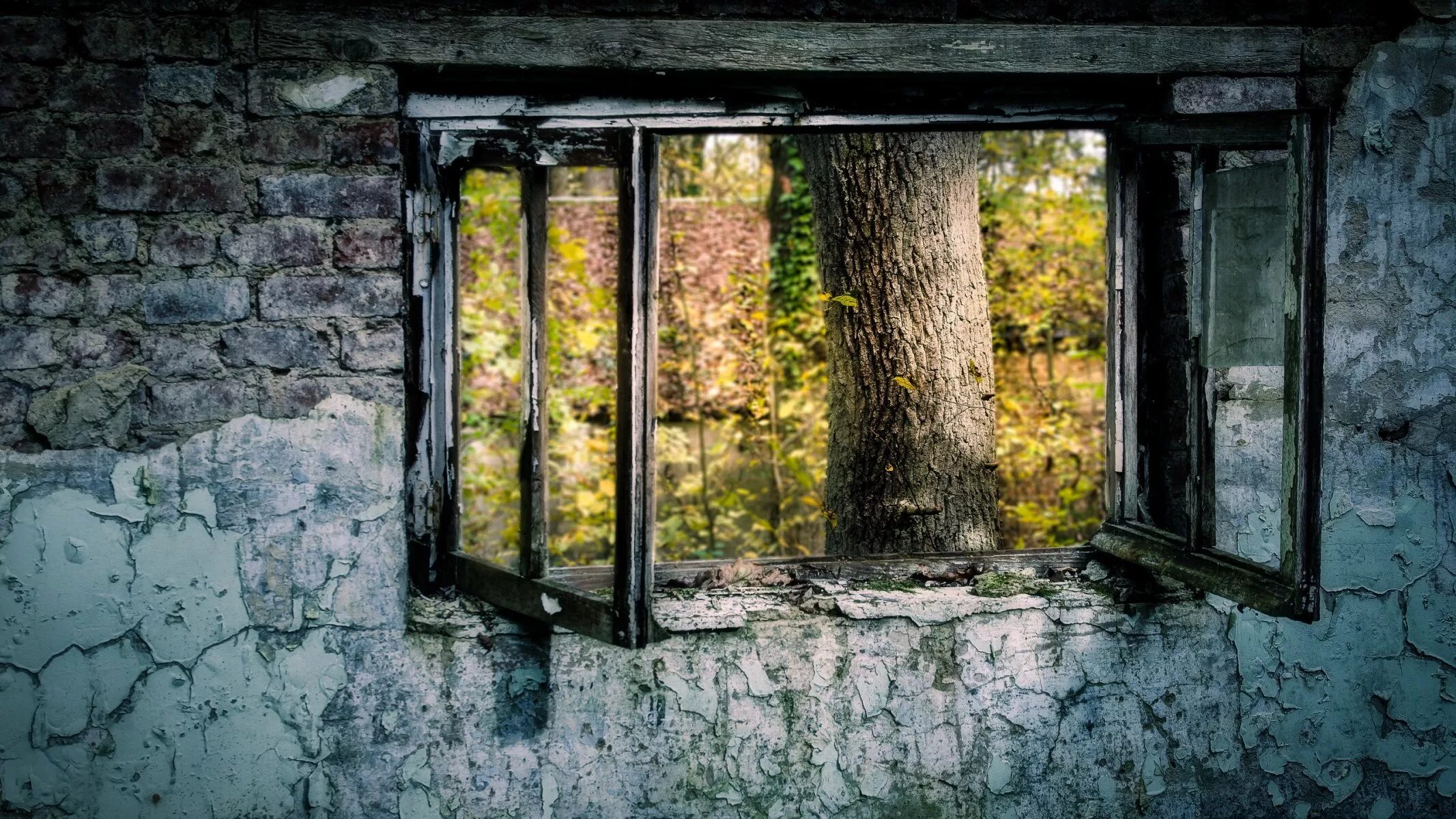 Фото окна для фотошопа. Старое окно. у окна. старинные окна. стена с окном.