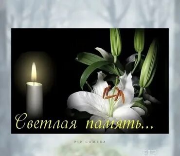Как отправить соболезнования
