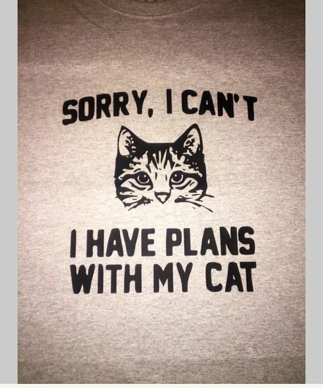 I don t have a cat. Cat t-shirt. t-shirt с котом. футболка кэтс. biscuit cat t shirt.
