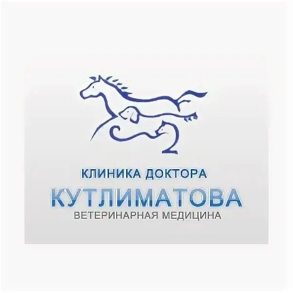 Бонни вет. Халитовна бгму. Ветклиника кутлиматова уфа. Ветклиника кутлиматова уфа. Кутлиматова лилия ришатовна уфа фото.