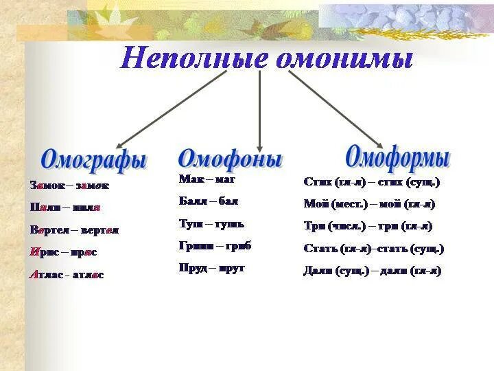 Найдите пары омонимов. Омофоны омографы омоформы. Омонимы омографы омоформы омофоны. Омонимы омофоны омографы и омоформы примеры. Омонимы омографы.