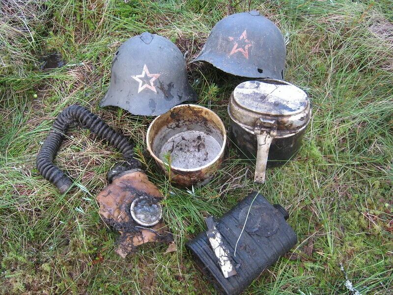 хлебное болото