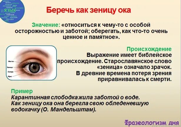 Хранить как зеницу ока значение. Беречь как зеницу ока. беречь как зеницу ока значение фразеологизма. береги как зеницу ока что это значит. что значит беречь как зеницу ока.