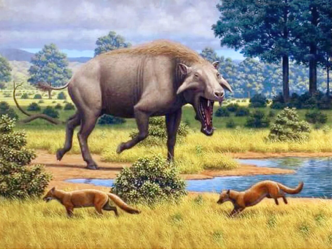Grice extinct pig