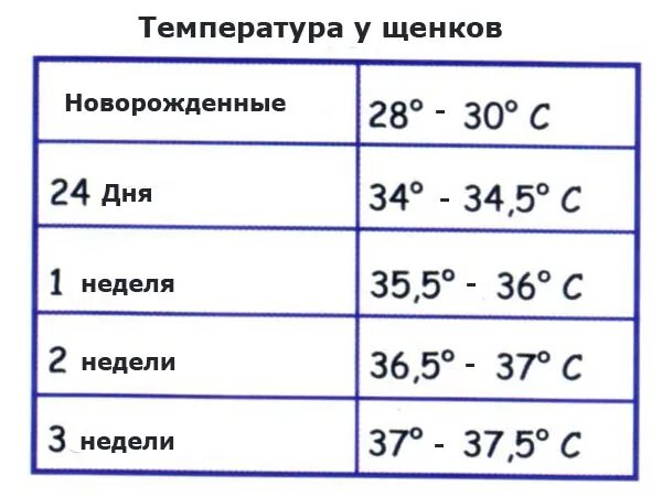 Температура раз в 2 месяца. Нормальная температура у новорожденного. какая нормальная температура у собак. температурная норма у собак. норма температуры у собак.