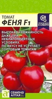 Томат феня