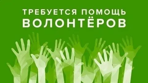 Требуются волонтеры