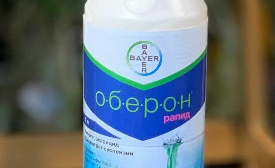 Оберон рапид для комнатных. Оберон рапид 10мл (инсектоакарицид). oberon инсектицид. оберон рапид для орхидей. оберон рапид, кс.