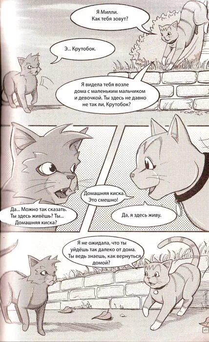Коты воители пропавший воитель. Коты воители крутобок и милли. коты воители крутобок и милли возвращение воителя. кв крутобок и милли. коты воители манга возвращение воителя.