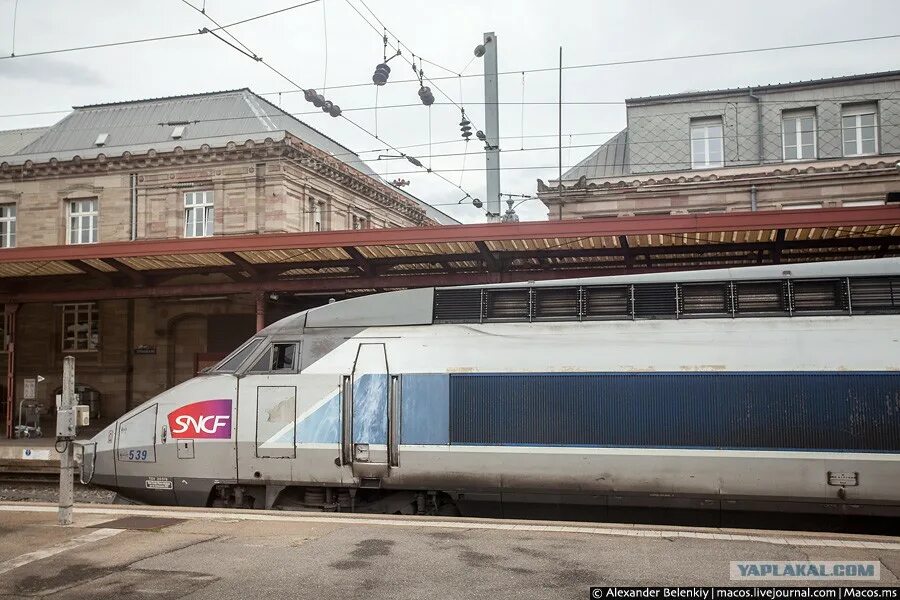 Самая длинная железная дорога парижем и марселем. Готардский тоннель, швейцария (57 091 м);. Поезд ter. Швейцария самый длинный поезд в мире. Готардский базисный тоннель в швейцарии.