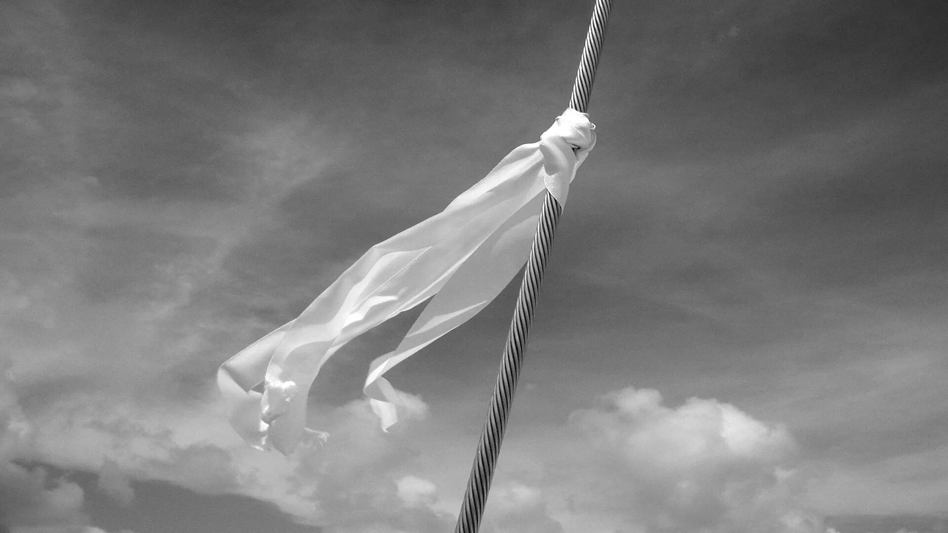 Знамя любви. Белые флаги. Белый флаг на войне. Белый флаг сдаюсь. Флажок белый.
