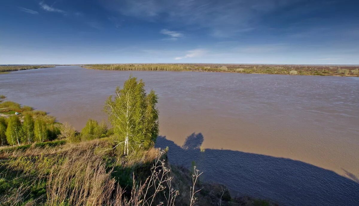 Реки Сибири Обь. Обь Великая река Сибири. Река Обь Пермский край. Алтайский край Иртыш и Обь. Зона обь