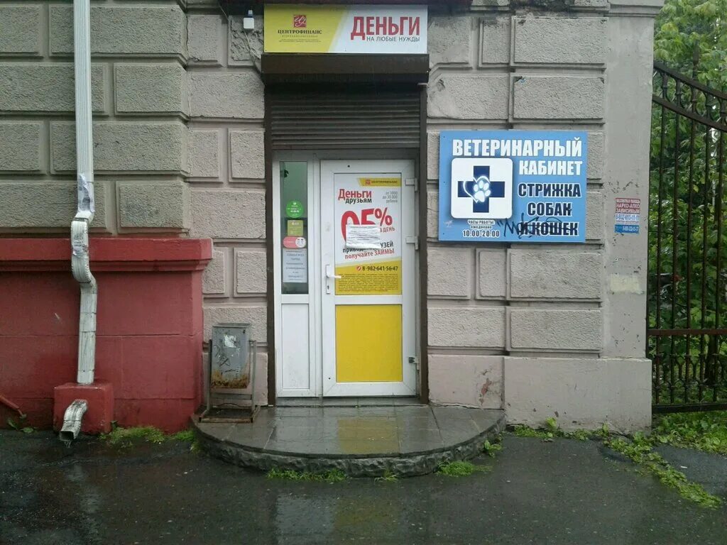 проспект ленина 73 нижний тагил. три кота ленина нижний тагил. три кота нижний тагил проспект ленина. три кота нижний тагил проспект ленина.