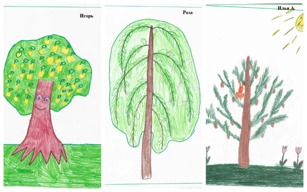 Дерево характера рисунок. Дерево рисунок 6 класс. Характер деревьев 2 класс рисования. Дерево характера изо. Урок дерево 8 класс