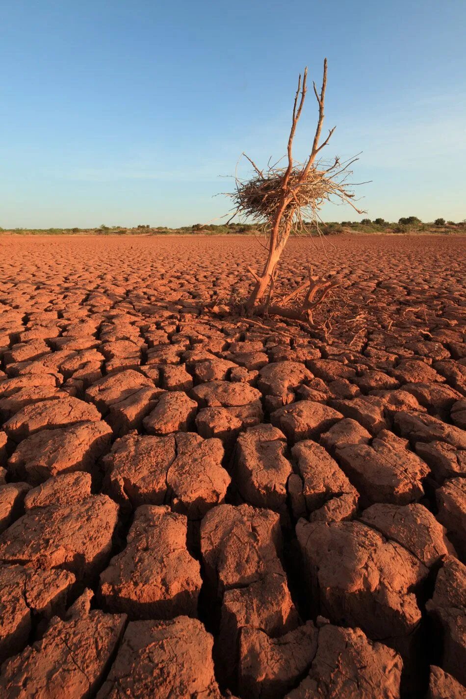 Тема засуха. Засуха Саладо Аргентина. Засуха земли. Жара в пустыне. Опустынивание земель.