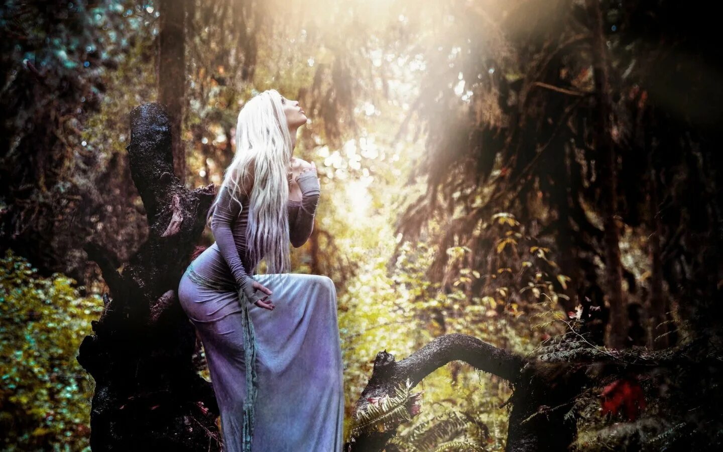 Фотосессия девушки. Блондинка девушка лес. Ведьма в лесу. Девушка в лесу. Блондинка в лесу.