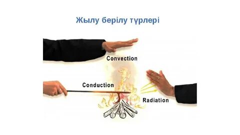 Сексуалды жетілген аналар