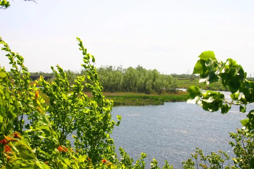 Село саратовка. Саратовка Омская область фото.