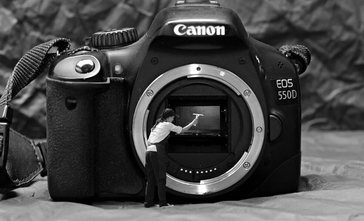 Canon 550d. Canon 550d снимки. Фотоаппарат Canon 550d. Canon EOS 550d body.