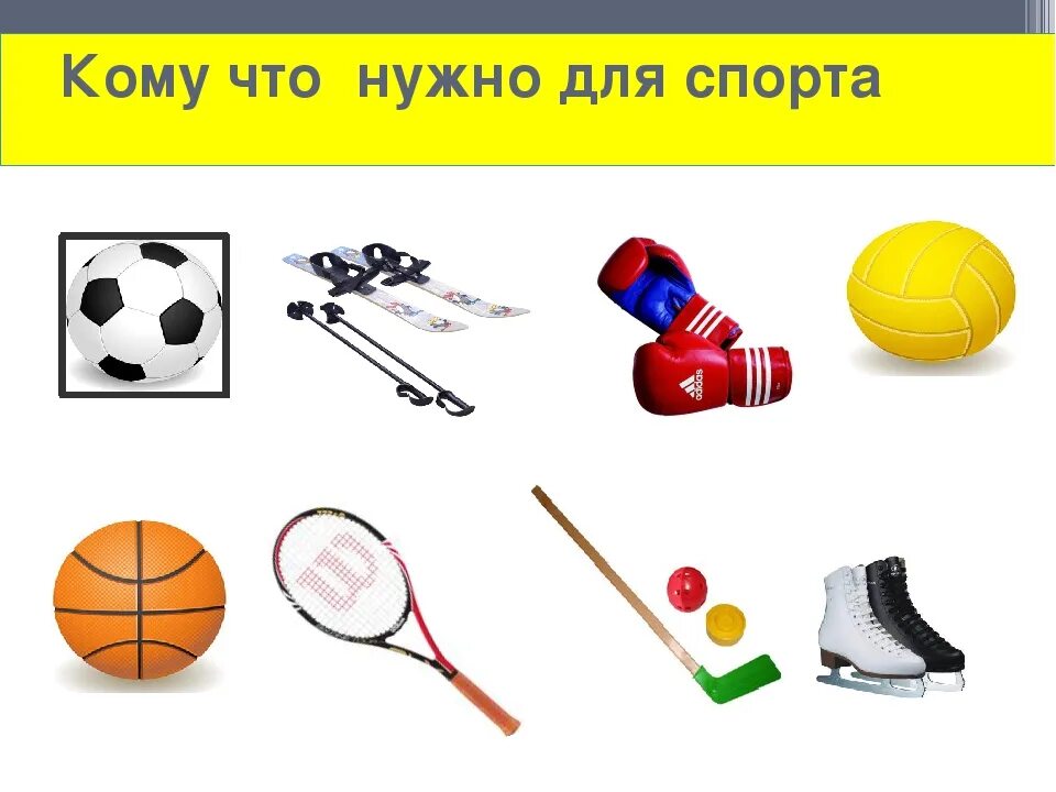 Что надо для спорта. Спортивные принадлежности. спортивный инвентарь для детей. спортинвентарь для летних видов спорта. инвентарь для зимних видов спорта.