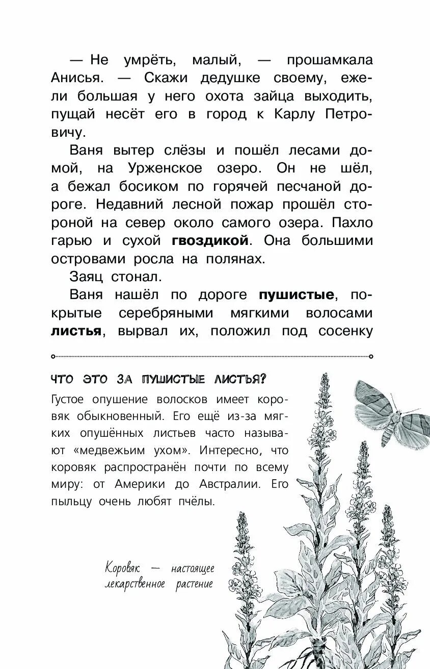 Характеристика героев сказки заячьи лапы паустовского. Заячьи лапы паустовский лесной пожар. Пересказ заячьи лапы 5 класс паустовский. Рассказ паустовского заячьи лапы. Пересказ паустовского заячьи лапы.