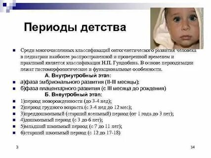 Основные периоды детского возраста