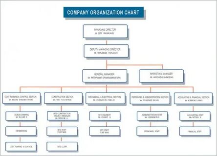 Organise the company